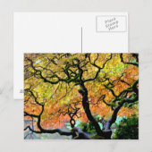 VS, Washington, Seattle, Kubota Garden. Briefkaart (Voorkant / Achterkant)