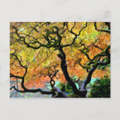 VS, Washington, Seattle, Kubota Garden. Briefkaart (Voorkant)