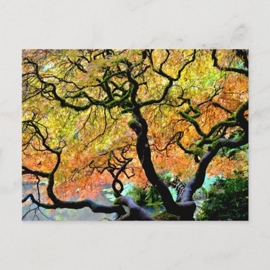 VS, Washington, Seattle, Kubota Garden. Briefkaart (Voorkant)