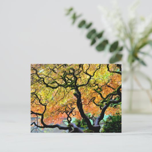 VS, Washington, Seattle, Kubota Garden. Briefkaart (Staand voorkant)