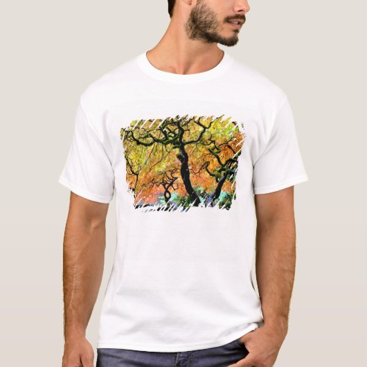VS, Washington, Seattle, Kubota Garden. T-shirt (Voorkant)
