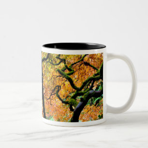 VS, Washington, Seattle, Kubota Garden. Tweekleurige Koffiemok