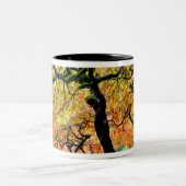 VS, Washington, Seattle, Kubota Garden. Tweekleurige Koffiemok (Center)