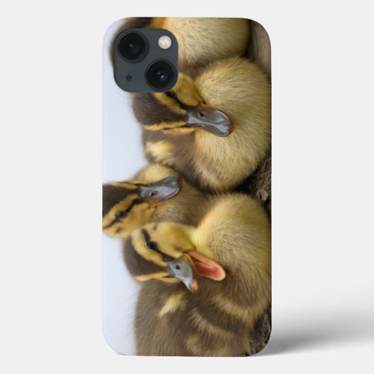 VS, Washington, Seattle, Lake Washington Case-Mate iPhone Case (Achterkant)