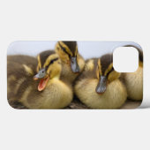 VS, Washington, Seattle, Lake Washington Case-Mate iPhone Case (Achterkant (horizontaal))