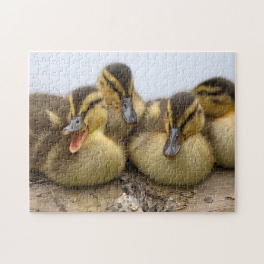 VS, Washington, Seattle, Lake Washington Legpuzzel (Horizontaal)