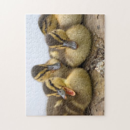 VS, Washington, Seattle, Lake Washington Legpuzzel (Verticaal)