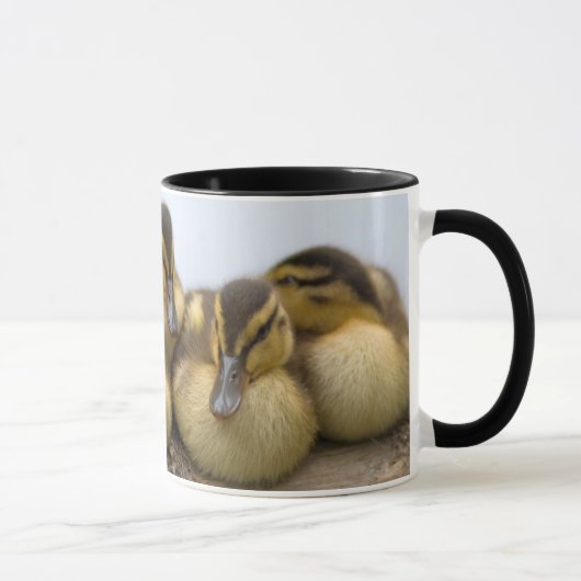 VS, Washington, Seattle, Lake Washington Mok (Rechts)