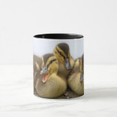 VS, Washington, Seattle, Lake Washington Mok (Midden)