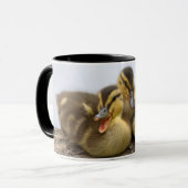 VS, Washington, Seattle, Lake Washington Mok (Voorkant links)