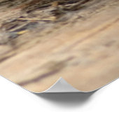 VS, Washington, Seattle, Lake Washington Poster (Hoek)