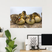 VS, Washington, Seattle, Lake Washington Poster (Thuiskantoor)