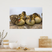 VS, Washington, Seattle, Lake Washington Poster (Keuken)