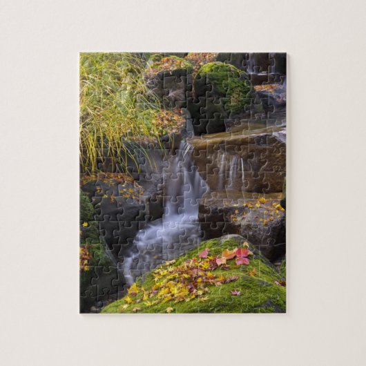 VS, Washington, Seattle Legpuzzel (Verticaal)