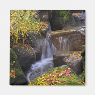 VS, Washington, Seattle Magneet