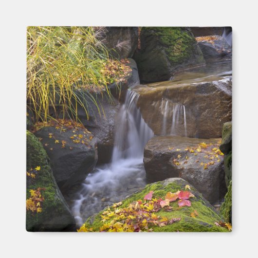 VS, Washington, Seattle Magneet (Voorkant)