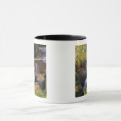 VS, Washington, Seattle Mok (Midden)