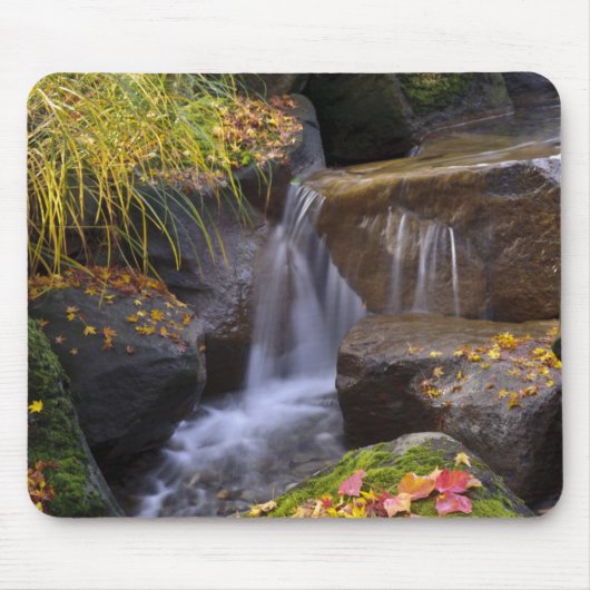 VS, Washington, Seattle Muismat (Voorkant)