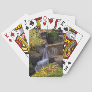 VS, Washington, Seattle Pokerkaarten