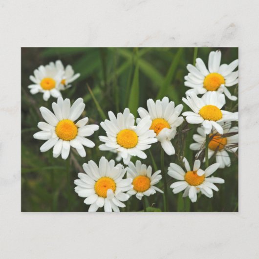 VS, Washington, Seattle, Puget Sound 3 Briefkaart (Voorkant)