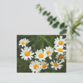 VS, Washington, Seattle, Puget Sound 3 Briefkaart (Staand voorkant)