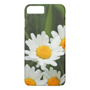 VS, Washington, Seattle, Puget Sound 3 Case-Mate iPhone Case