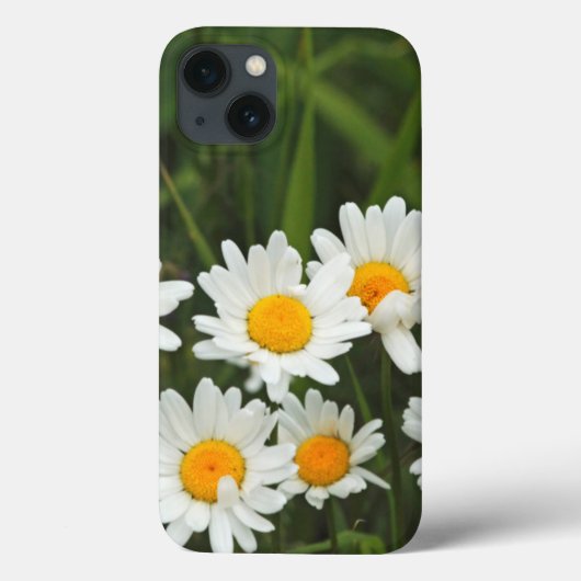 VS, Washington, Seattle, Puget Sound 3 Case-Mate iPhone Case (Achterkant)