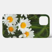 VS, Washington, Seattle, Puget Sound 3 Case-Mate iPhone Case (Achterkant (horizontaal))