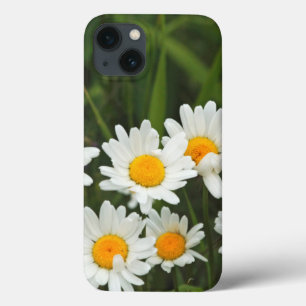 VS, Washington, Seattle, Puget Sound 3 Case-Mate iPhone Case