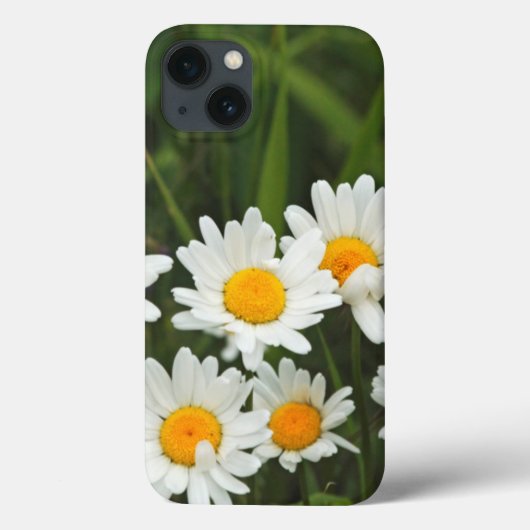 VS, Washington, Seattle, Puget Sound 3 Case-Mate iPhone Case (Achterkant)