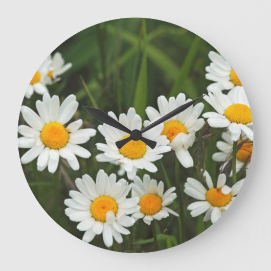 VS, Washington, Seattle, Puget Sound 3 Grote Klok (Voorkant)