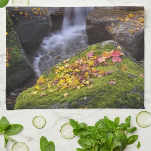 VS, Washington, Seattle Theedoek (Gevouwen)