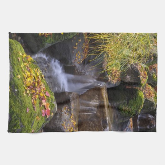 VS, Washington, Seattle Theedoek (Horizontaal)