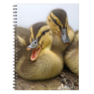 VS, Washington, Seattle, Washingtonmeer Notitieboek