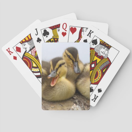 VS, Washington, Seattle, Washingtonmeer Pokerkaarten (Achterkant)