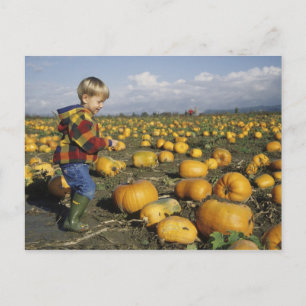 VS, Washington, Snohomish. Kleine jongen Briefkaart
