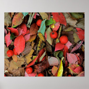 VS, Washington, Spokane Co., Hawthorn Leaves Poster