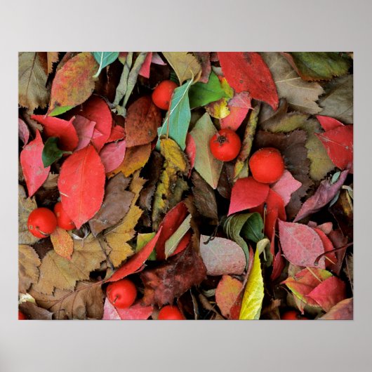 VS, Washington, Spokane Co., Hawthorn Leaves Poster (Voorkant)