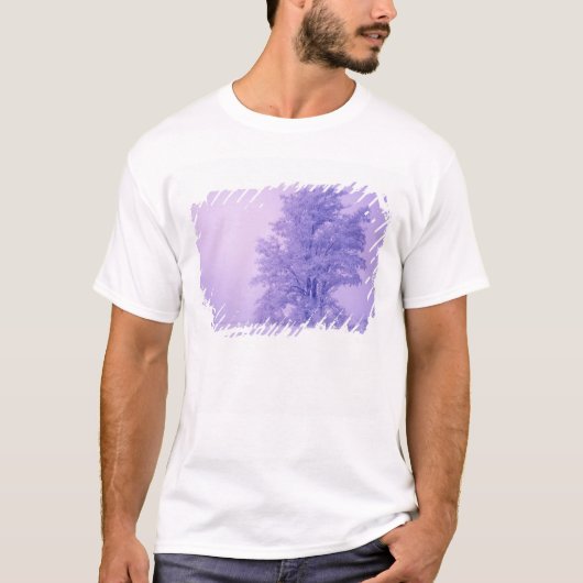 VS, Washington, Spokane County, Bevroren T-shirt (Voorkant)