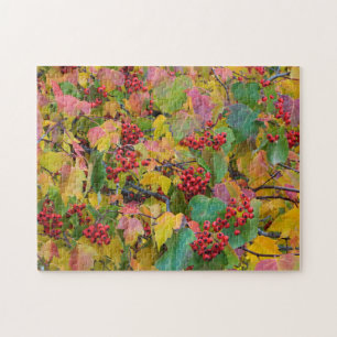 VS, Washington, Spokane County, Hawthorn Leaves 2 Legpuzzel