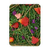VS, Washington, Spokane County, Hawthorn Leaves 3 Magneet (Verticaal)