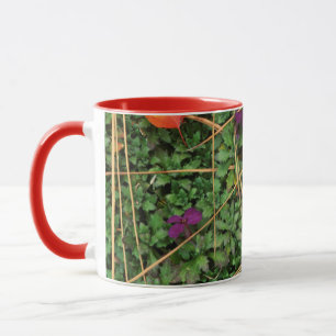 VS, Washington, Spokane County, Hawthorn Leaves 3 Mok