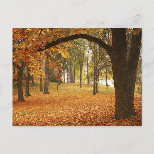 VS, Washington, Spokane, Manito Park, Herfst 2 Briefkaart (Voorkant)