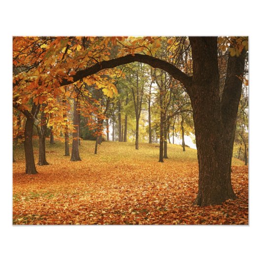 VS, Washington, Spokane, Manito Park, Herfst 2 Foto Afdruk (Voorkant)