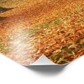 VS, Washington, Spokane, Manito Park, Herfst 2 Foto Afdruk (Hoek)