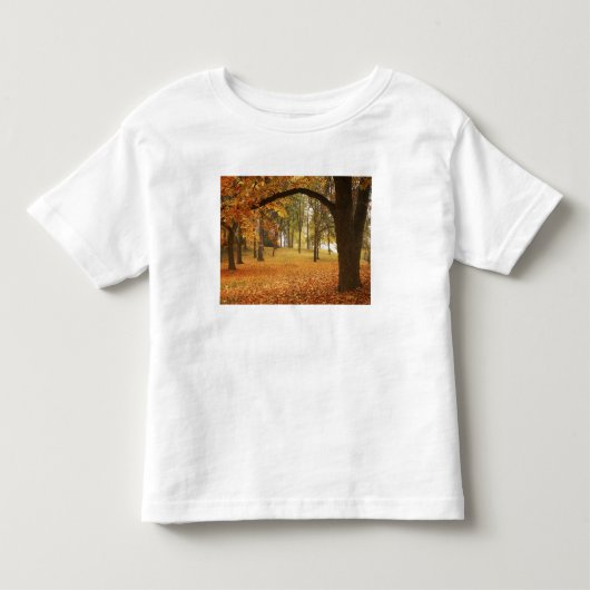 VS, Washington, Spokane, Manito Park, Herfst 2 Kinder Shirts (Voorkant)