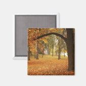 VS, Washington, Spokane, Manito Park, Herfst 2 Magneet (Voorkant / Achterkant)