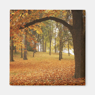 VS, Washington, Spokane, Manito Park, Herfst 2 Magneet