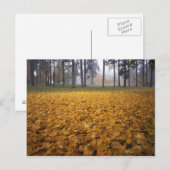 VS, Washington, Spokane, Manito Park, Herfst Briefkaart (Voorkant / Achterkant)