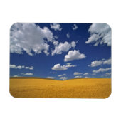 VS, Washington State, Colfax. Ripe gerst ontmoet Magneet (Horizontaal)